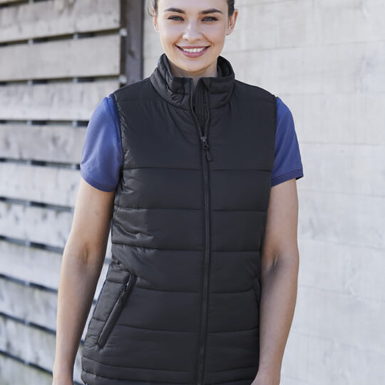 Womens Alpine Vest